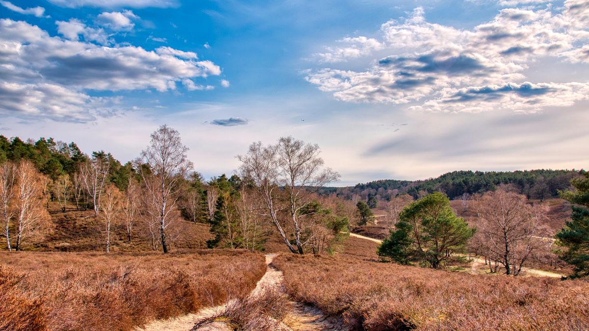 Mecklenburg-Western Pomerania, Germany