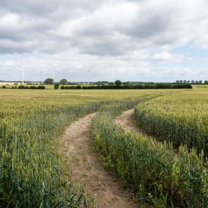 Schleswig-Holstein, Germany