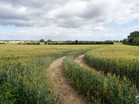 Schleswig-Holstein, Germany